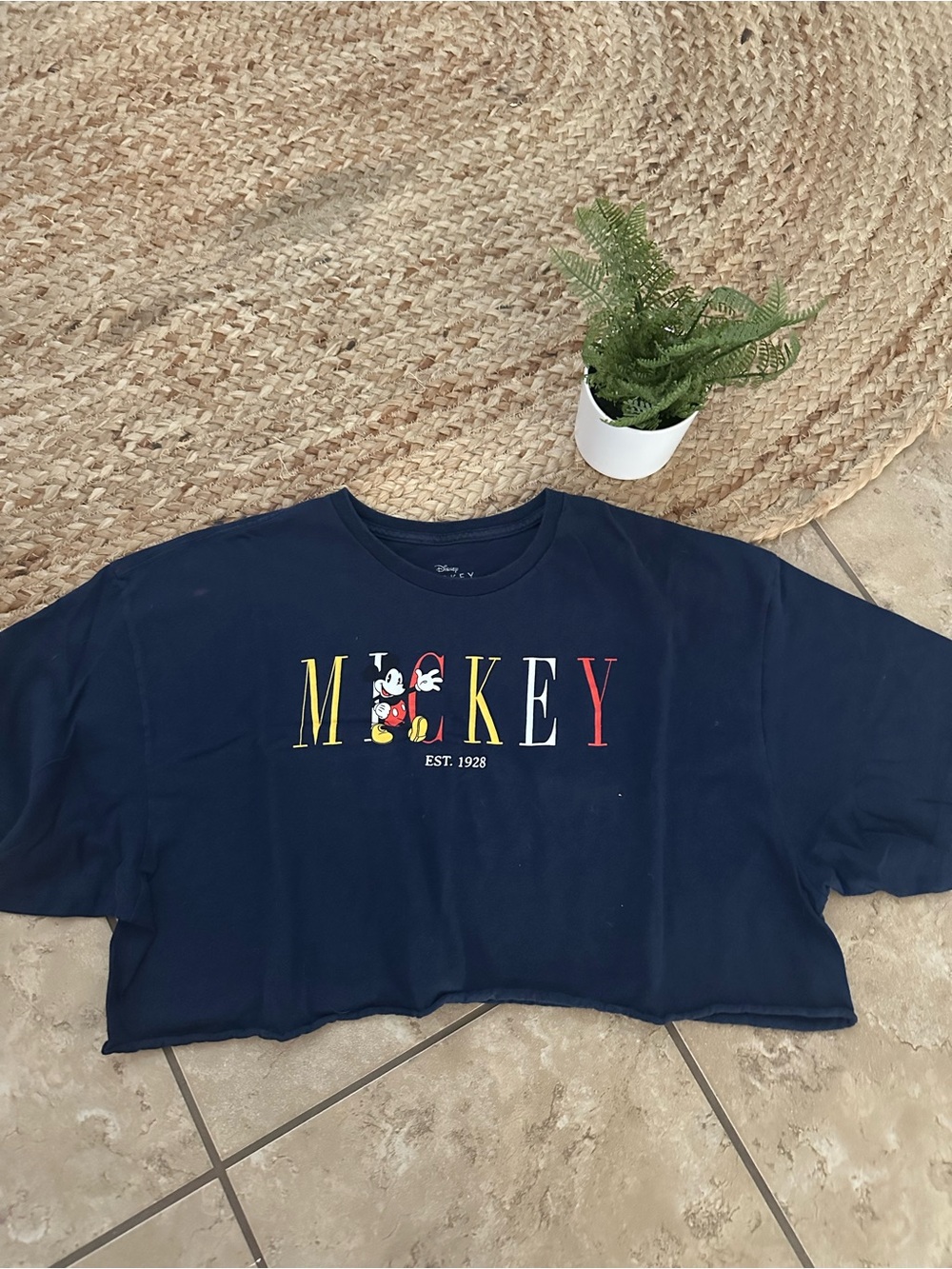 GRAPHIC CROP MICKEY TOP